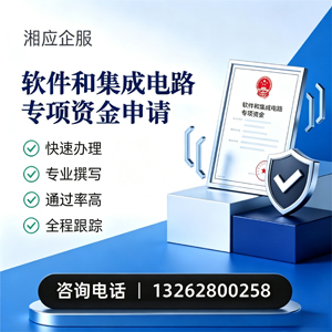 宁波软件和集成电路专项资金申报服务