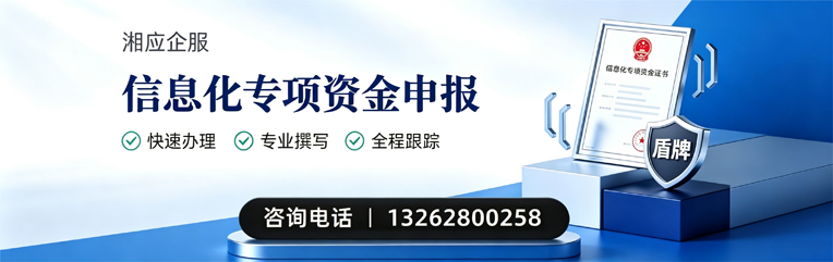 宁波信息化专项资金申报服务