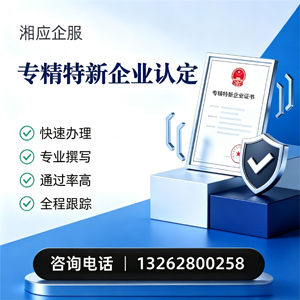 宁波专精特新企业申报服务