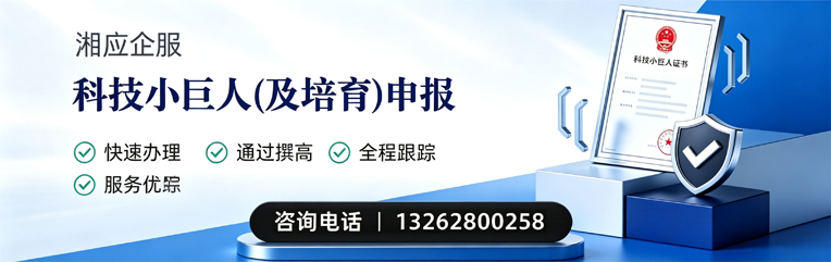 宁波科技小巨人及培育企业申报服务