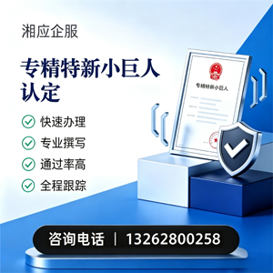 宁波专精特新小巨人申报服务