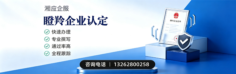 宁波瞪羚企业认定申报服务