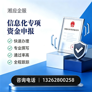 宁波信息化专项资金申报服务