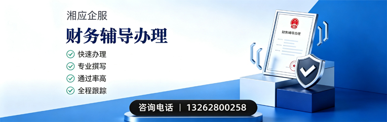 宁波财务辅导申请服务