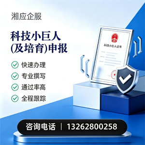 宁波科技小巨人及培育企业申报服务