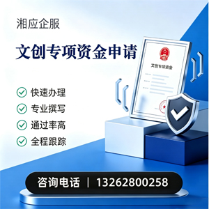 宁波文创专项资金申报服务