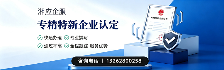 宁波专精特新企业申报服务