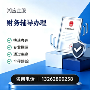 宁波财务辅导申请服务