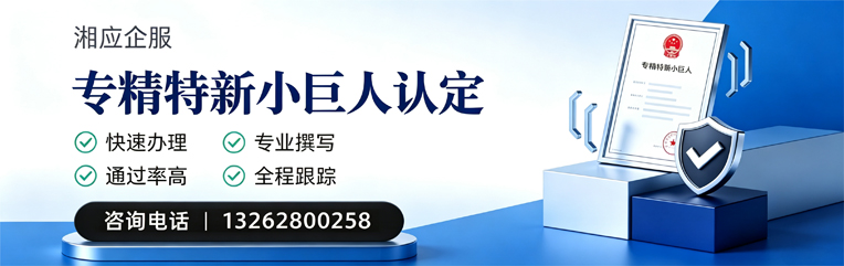 宁波专精特新小巨人申报服务